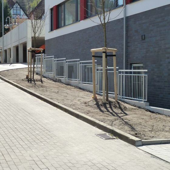 Eingangsgeländer 11 von 36 – Düsediekerbäumer Metallbau GmbH